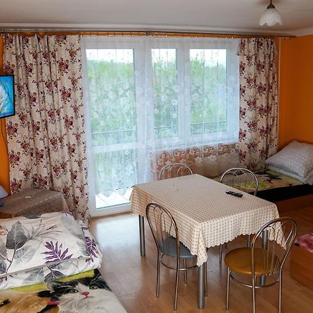 Kwatery Prywatne U Gosi Nad Solina Солина Екстер'єр фото
